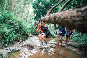 BIB: 
                            <button type="button" onclick="openModal(25375469)" class="btn btn-primary btn-sm float-right btn-popup" data-toggle="modal" data-target=".modal-high-quality">
                        <i class="fas fa-shopping-cart"></i> Add to Cart
                    </button>
                                            <button type="button" onclick="isThisMe(25375469, true)" class="btn btn-success btn-sm float-right btn-popup btn-isme hidden" data-toggle="tooltip" data-placement="bottom" title="นี่คือรูปของคุณใช่ไหม คลิกที่นี่เพื่อเอาเข้าอัลบั้ม">
                        <i class="fas fa-plus"></i> Add to album
                    </button>
                    <button type="button" onclick="isThisMe(25375469, false)" class="btn btn-warning btn-sm float-right btn-popup btn-isnotme hidden">
                        <i class="fas fa-ban"></i> Remove from album
                    </button>